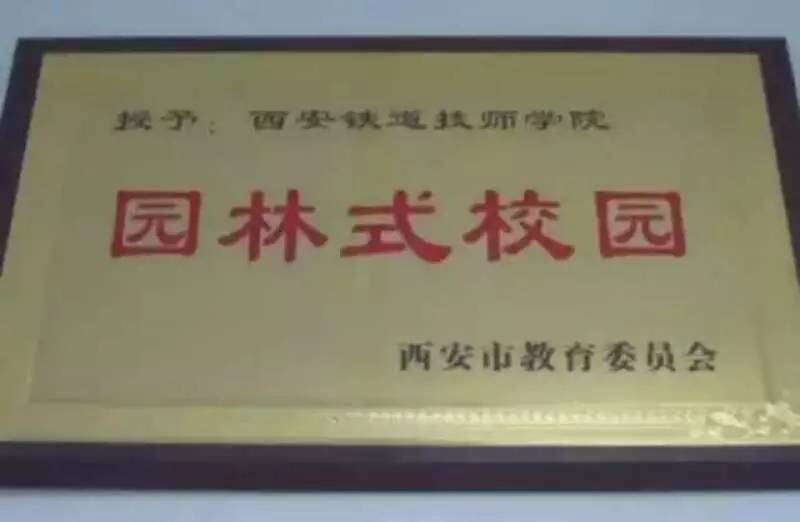 第231页