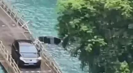 凤山县抢尸事件最新进展深度解析