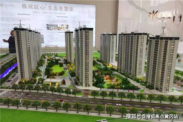 连云港股票停牌最新消息全面解析