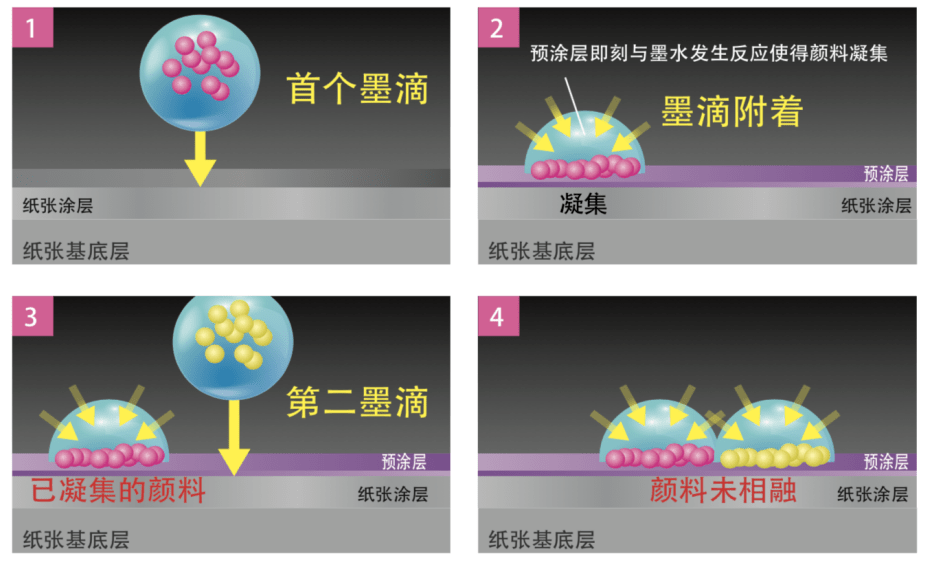 下载助手最新版本，引领数字时代的下载革新