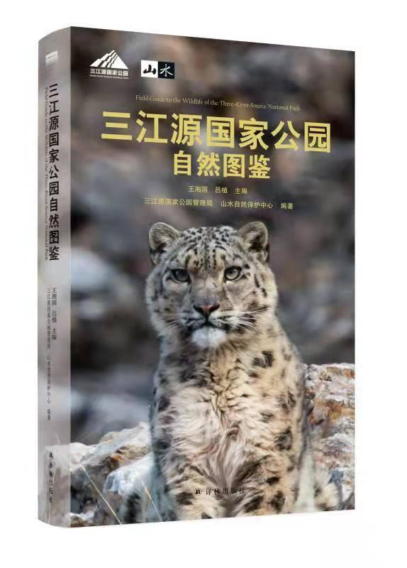 第一时间荐书最新，探索文学世界的最新瑰宝