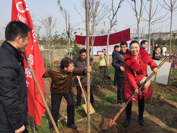 南阳山水中央最新动态，城市绿色发展的璀璨明珠