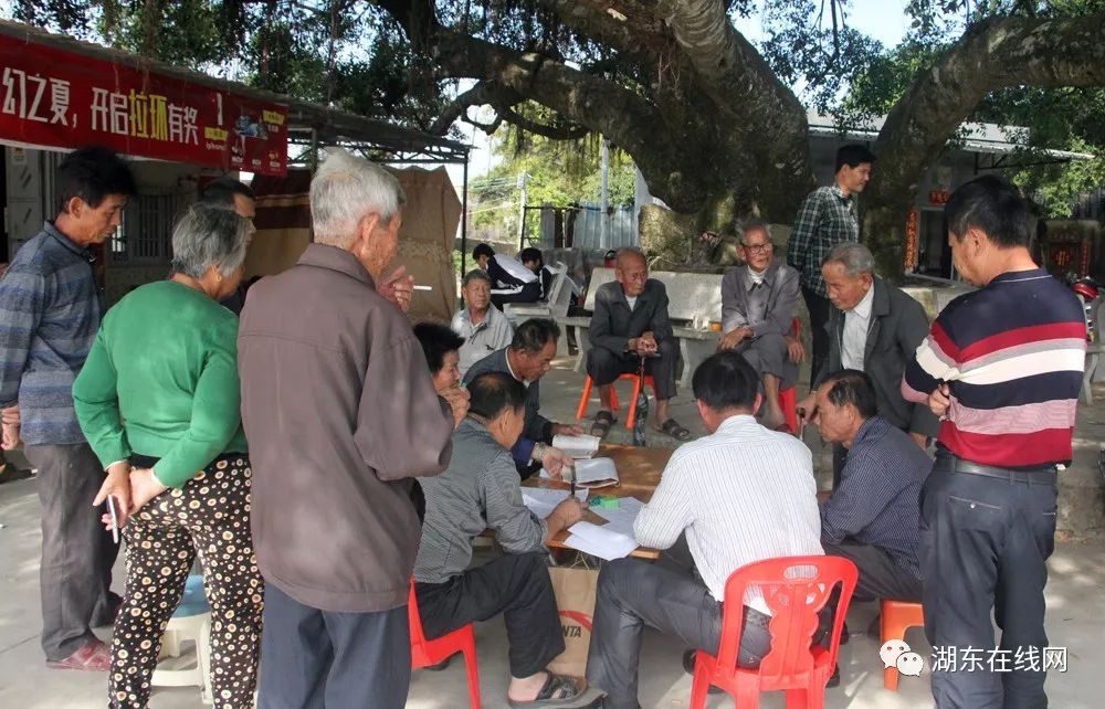 陆丰市湖东镇最新事件，聚焦发展动态与社会变迁