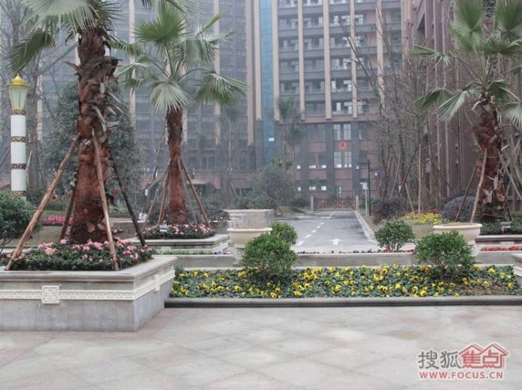 领馆国际城最新房价动态分析