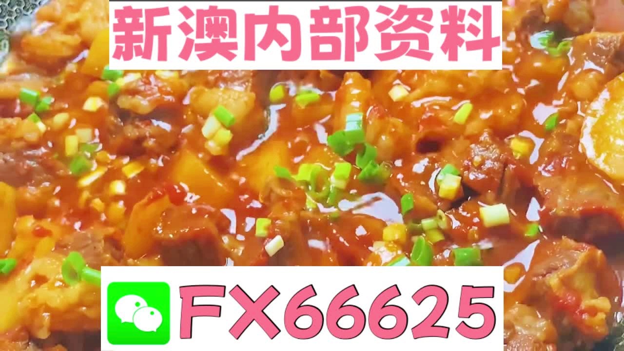 2025新澳天天资料大全057期13-25-07-28-49-04T:02
