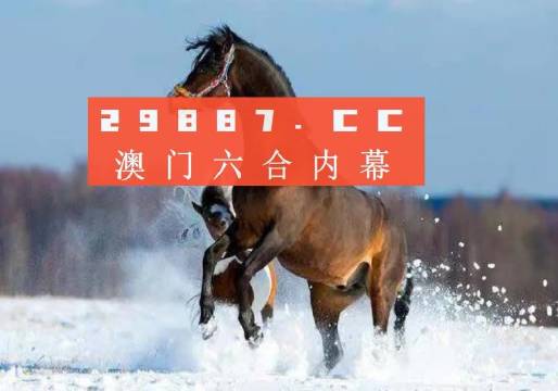2025澳门和香港天天免费精准大全069期03-39-46-19-28-49T:38